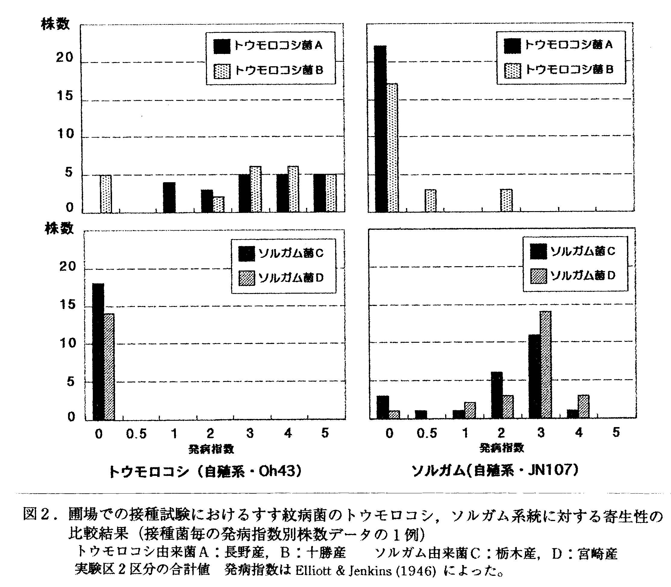 図2 圃場での接種試験におけるすす紋病菌のトウモロコシ、ソルガム系統に対する寄生性の比較結果