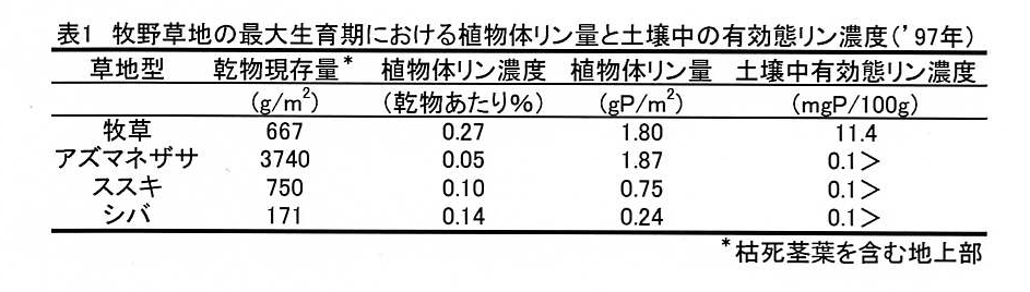 表1 牧野草地の最大生育期における植物体リン量と土壌中の有効態リン濃度