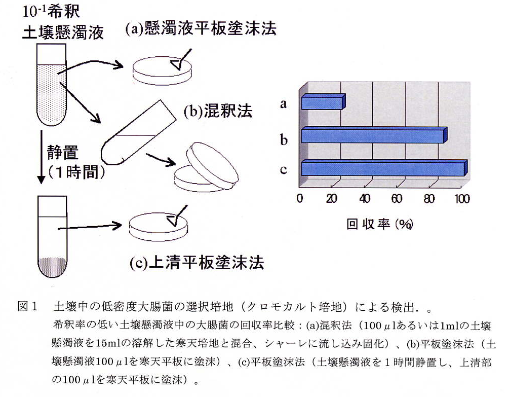 図1 土壌中の低密度大腸菌の選択培地