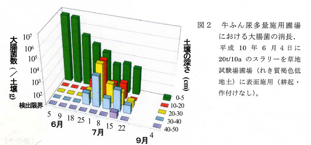 図2 牛ふん多量施用圃場における大腸菌の消長