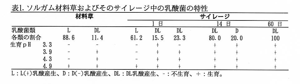 表1 ソルガム材料草およびそのサイレージ中の乳酸菌の特性