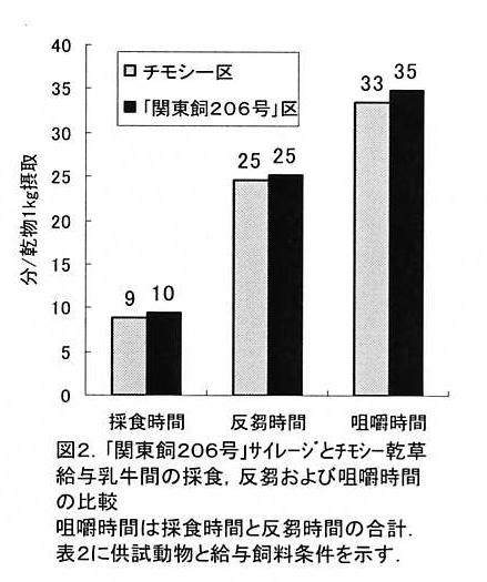 図2 「関東飼206号」サイレージとチモシー乾草給与乳牛間の採食、反芻および咀嚼時間の比較