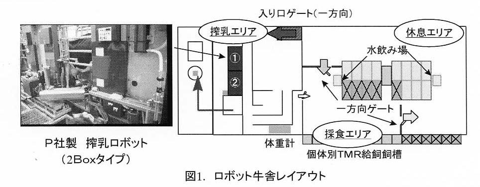 図1 ロボット牛舎レイアウト