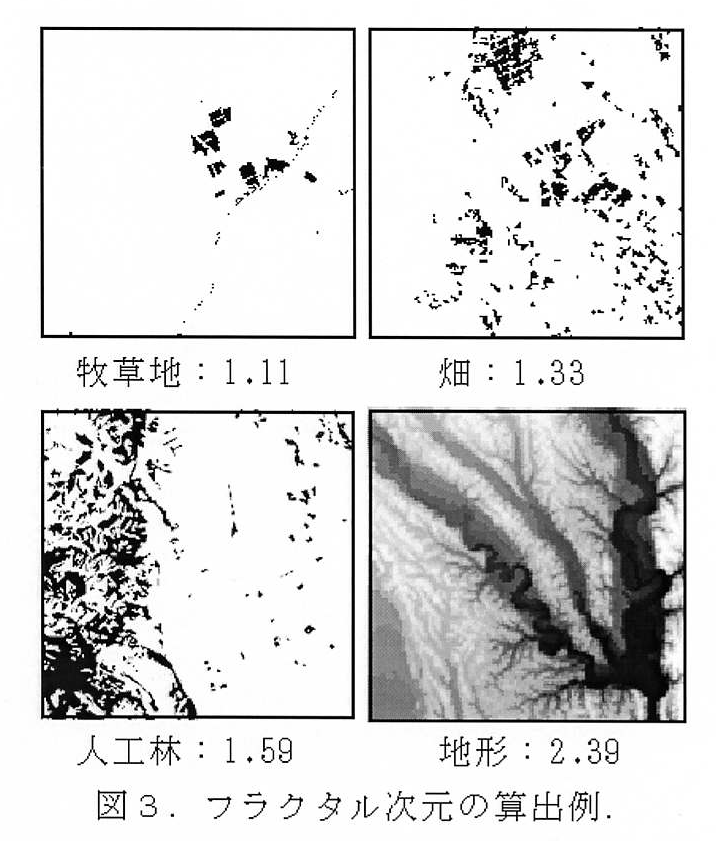図3 フラクタル次元の算出例