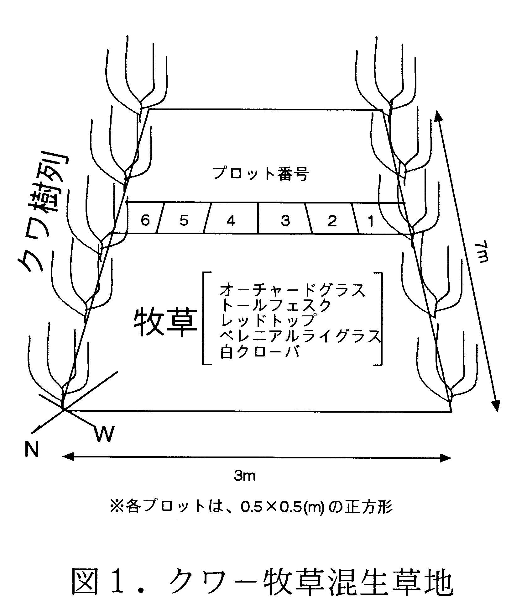 図1 クワー牧草混生草地
