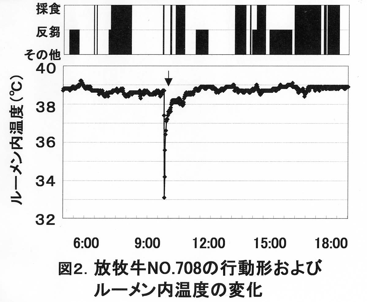 図2 放牧牛NO.708の行動形およびルーメン内温度の変化