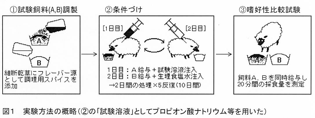 図1 実験方法の概略