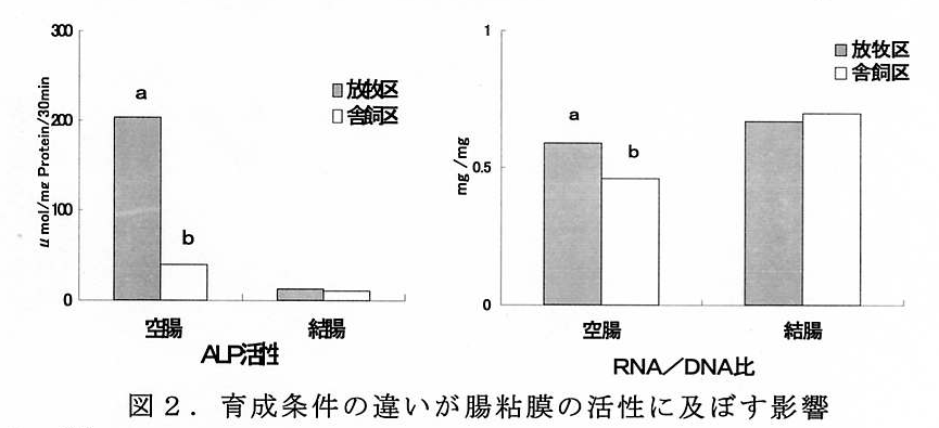 図2 育成条件の違いが腸根粘膜の活性に及ぼす影響