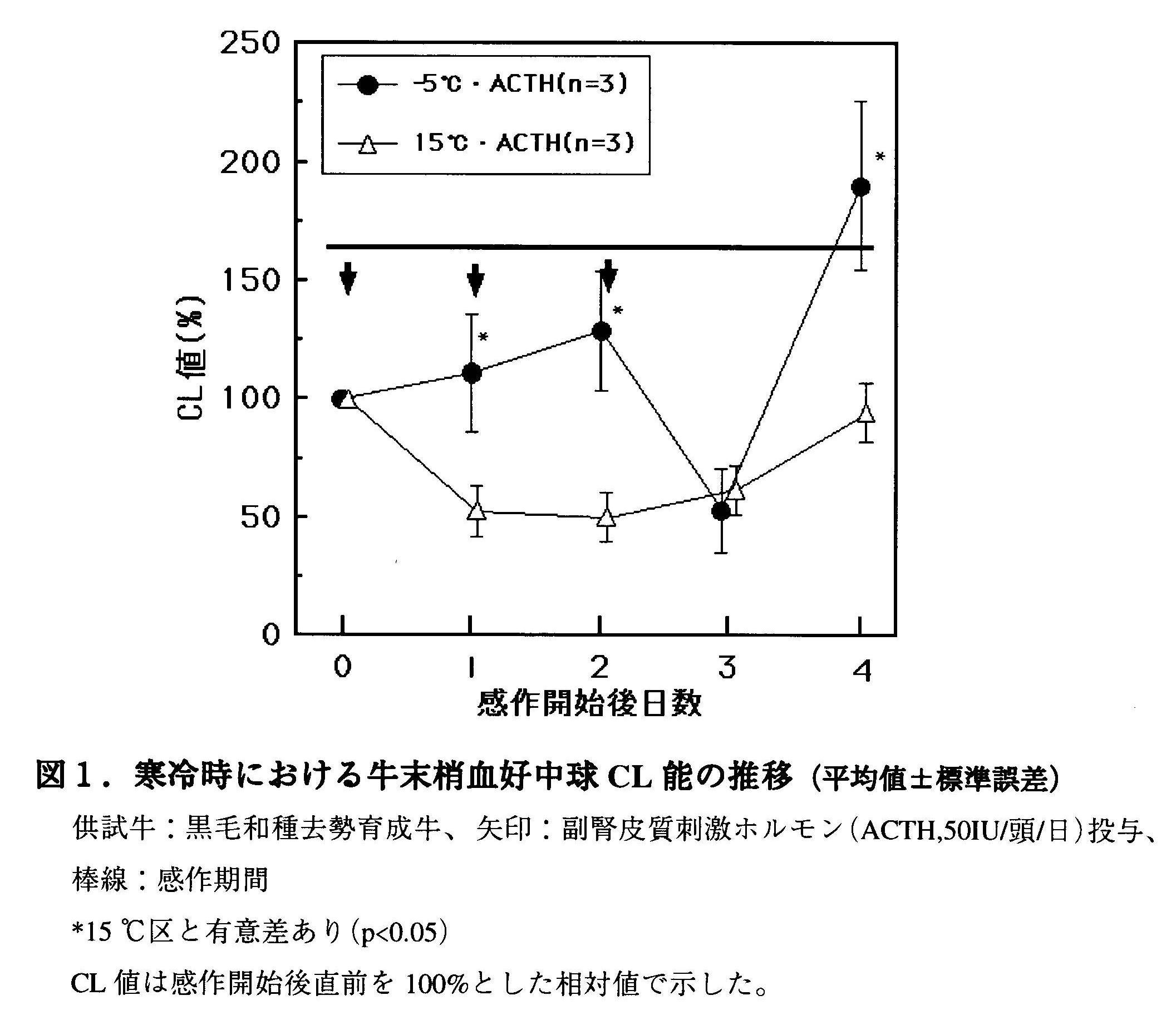 図1 寒冷時における牛末梢血好中球CL能の推移