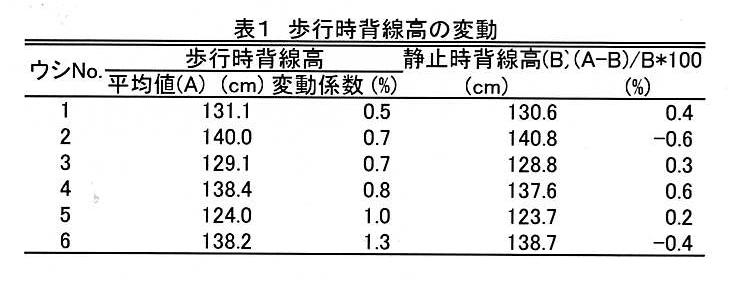 表1 歩行時背線高の変動