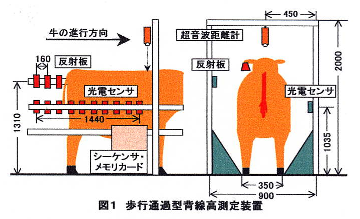 図1 歩行通過型背線測定装置