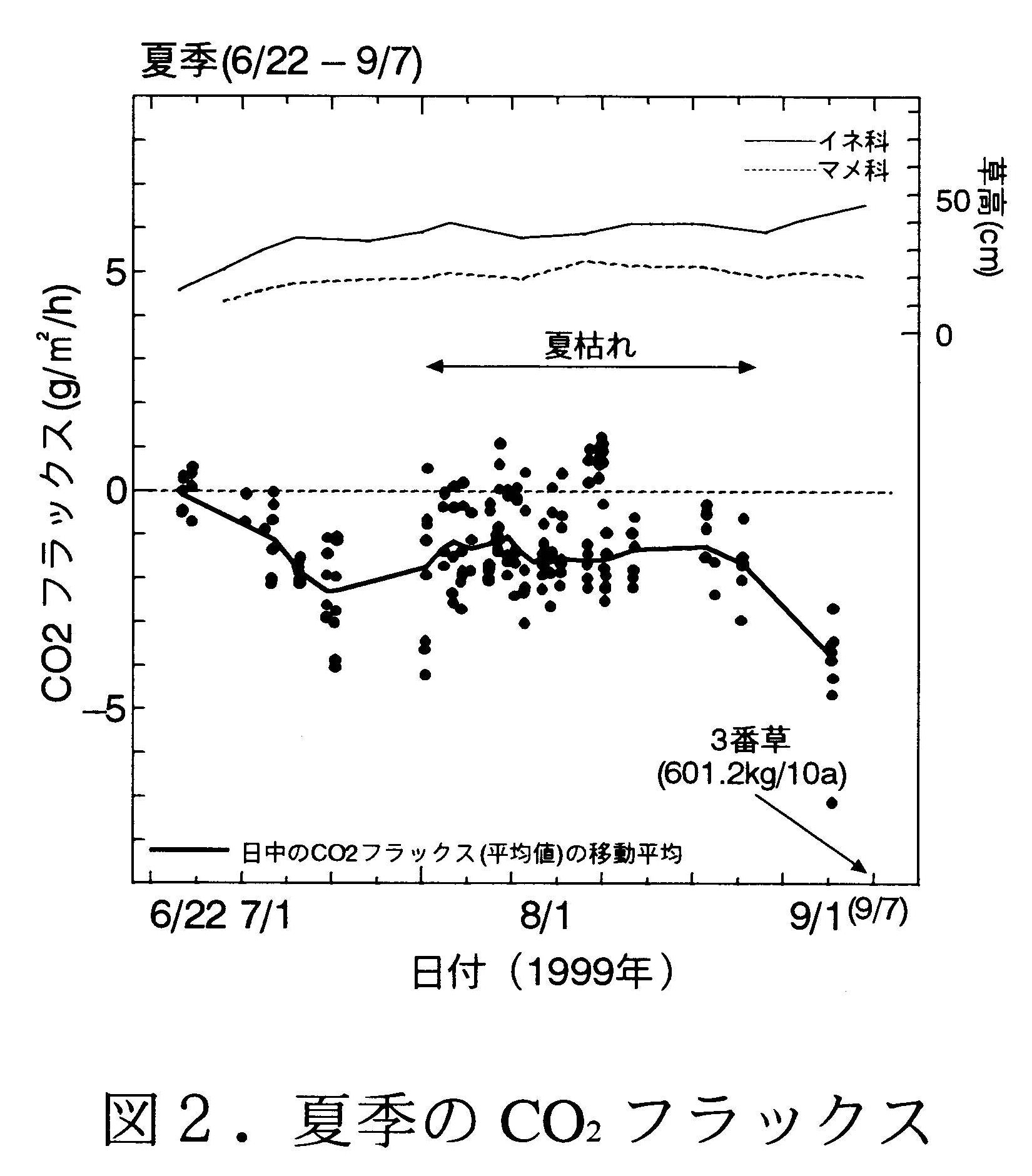 図2 夏季のCO2フラックス