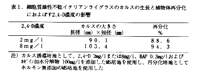 表1 細胞質雄性不稔イタリアンライグラスのカルスの生長と植物体再分化に及ぼす2,4-D濃度の影響