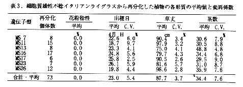 表3 細胞質雄性不稔イタリアンライグラスから再分化した各形質の平均値と変異係数