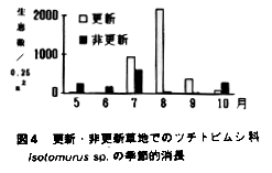 図4 更新・非更新草地でのツチトビムシ科Isotomurus sp.の季節的消長
