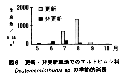 図6 更新・非更新草地でのマルトビムシ科Deuterosminthurus sp.の季節的消長