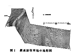 図1 調査放牧草地の地形図