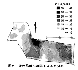 図2 放牧草地への落下ふんの分布