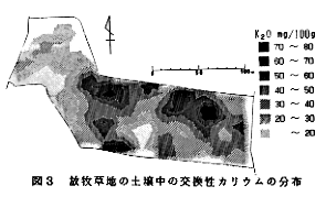 図3 放牧草地の土壌中の交換性カリウムの分布