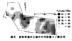 図5 放牧草地の土壌中の加給態リン酸分布