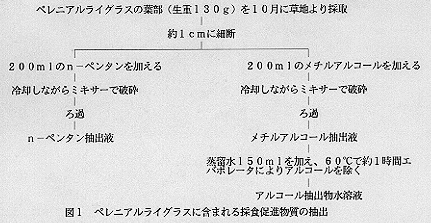 図1 ペレニアルライグラスに含まれる採食促進物質の抽出