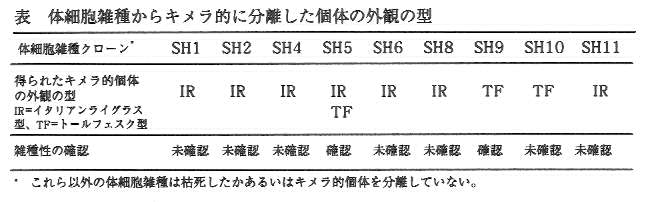 表.体細胞雑種からキメラ的に分離した個体の外観の型