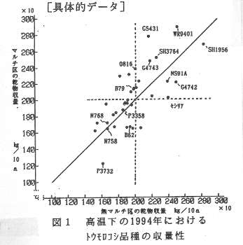 図1.高温下の1994年におけるトウモロコシ品種の収量性