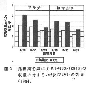 図2.播種期を異にするトウモロコシWR9401の収量に対するマルチ及びスラリーの効果