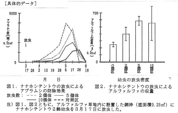 図1.ナナホシテントウの放虫によるアブラムシの防除効果、図2.ナナホシテントウの放虫によるアルファルファの収量