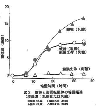 図2.親株と形質転換体の培養経過