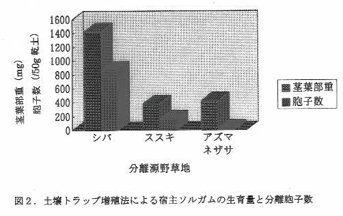図2.土壌トラップ増殖法による宿主ソルガムの生育量と分離胞子数