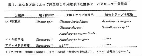 表1.異なる方法によって野草地より分離された主要アーバスキュラー菌根菌