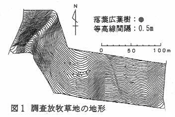 図1.調査放牧草地の地形