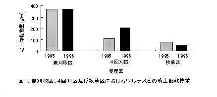 図1 無刈取区、4回刈取区及び牧草区におけるワルナスビの地上部乾物重