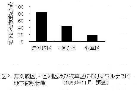 図3 無刈取区、4回刈取区及び牧草区におけるワルナスビ地下部乾物重