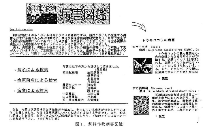 図1 飼料作物病害図鑑