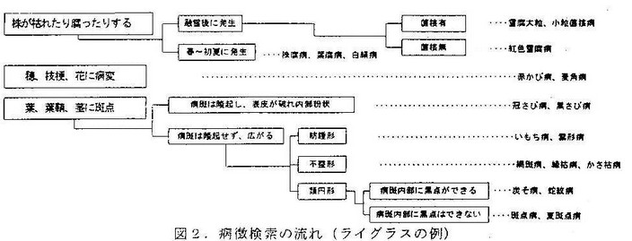 図2 病徴検索の流れ