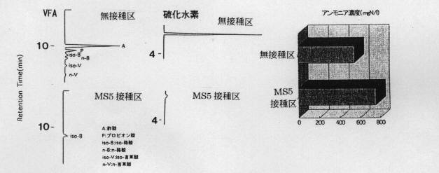 図3