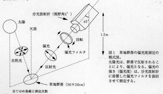 図1 草地群落の偏光度測定の模式図