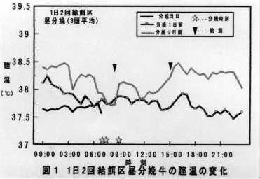 図1 1日2回給餌区昼分娩牛の膣温の変化