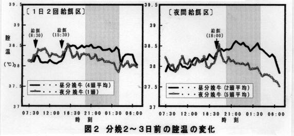 図2 分娩2～3日前の膣温の変化