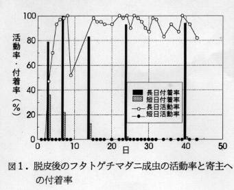 図1 脱皮後のフタトゲチマダニ成虫の活動率と奇主への付着率