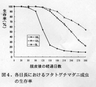 図4 各日長におけるフタトゲチマダニ成虫の生存率