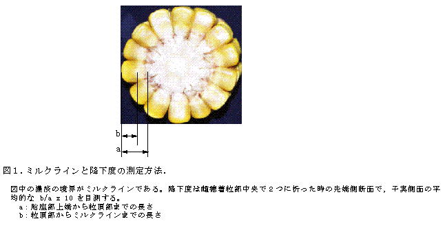 図1.ミルクラインと降下度の測定方法測定方法