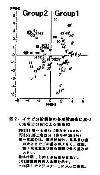 図2.