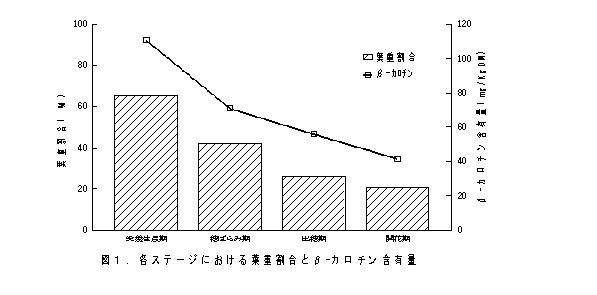 図1.各ステージにおける葉重割合とβ-カロチン含有量