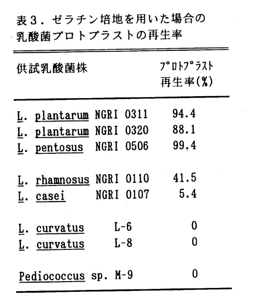 表3.ゼラチン培地を用いた場合の乳酸菌プロトプラストの再生率