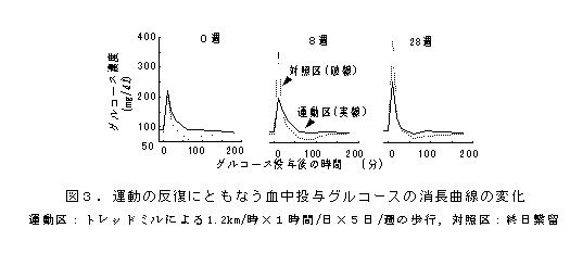 図3.運動の反復にともなう血中投与グルコースの消長曲線の変化
