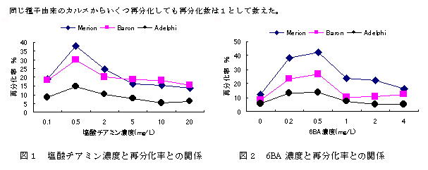 図1 塩酸チアミン濃度と再分化率との関係 図2 6BA濃度と再分化率との関係