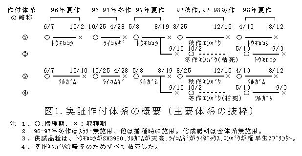 図1 実証作付体系の概要